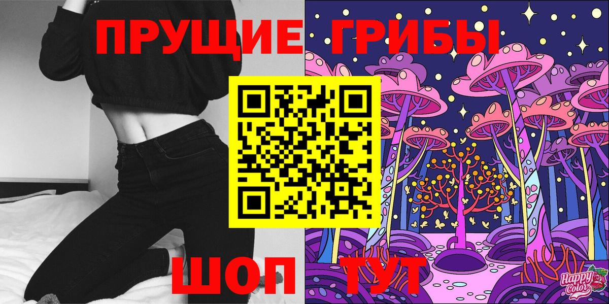 Галлюциногенные грибы Psilocybine cubensis Камень-на-Оби